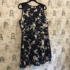 NWT Lace Detail Dress
